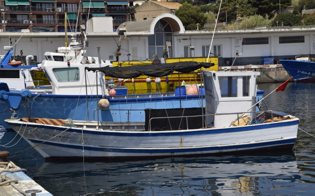 La confraria de Sant Feliu de Guíxols s’incorpora al projecte LIFE Ecorest