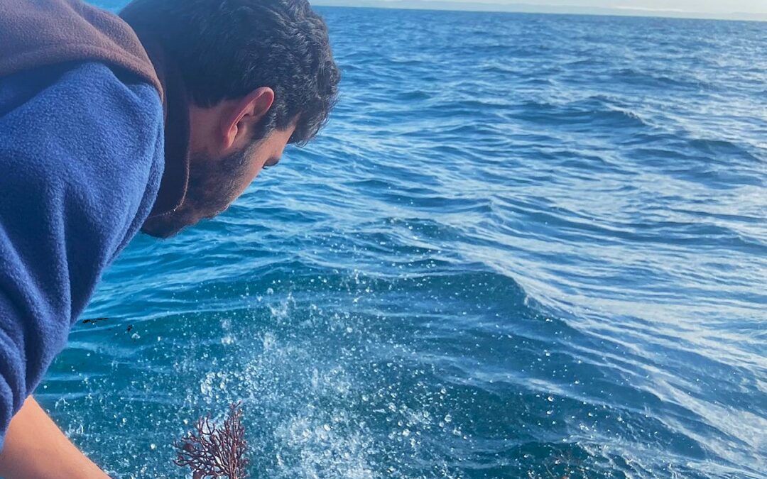 El mètode de restauració del LIFE ECOREST s’aplica a les aigües gaditanes