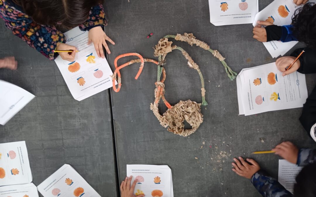 Comença una nova edició del programa educatiu per acostar els escolars la restauració dels hàbitats marins profunds