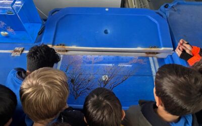 Finalitza el programa educatiu del projecte LIFE ECOREST amb més de 1.000 participants